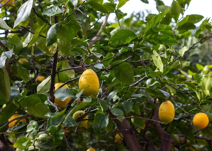 Arkotxa By People Getxo