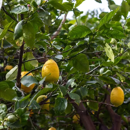 Arkotxa By People Getxo